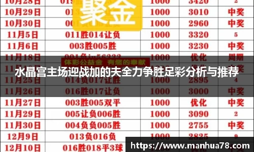 水晶宫主场迎战加的夫全力争胜足彩分析与推荐